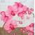 Serwetka decoupage firmy AMBIENTE orchidea 33x33cm